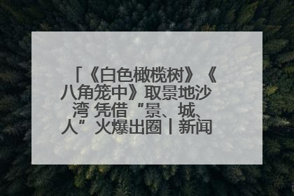 《白色橄榄树》《八角笼中》取景地沙湾 凭借“景、城、人”火爆出圈丨新闻发布最前线