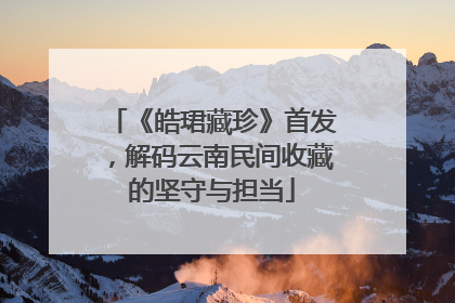 《皓珺藏珍》首发，解码云南民间收藏的坚守与担当