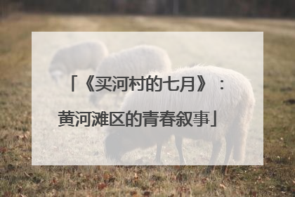 《买河村的七月》：黄河滩区的青春叙事