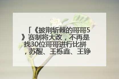 《披荆斩棘的哥哥5》赛制将大改，不再是找30位哥哥进行比拼，苏醒、王栎鑫、王铮亮、张远等多名男团选手被曝将参加