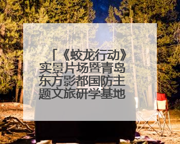 《蛟龙行动》实景片场暨青岛东方影都国防主题文旅研学基地在青岛西海岸新区开业