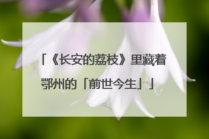 《长安的荔枝》里藏着鄂州的「前世今生」