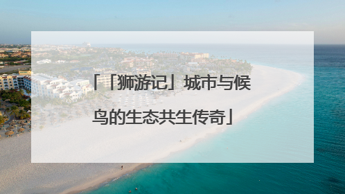 「狮游记」城市与候鸟的生态共生传奇