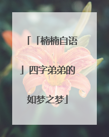 「楠楠自语」四字弟弟的如梦之梦