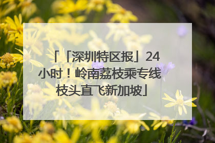 「深圳特区报」24小时！岭南荔枝乘专线 枝头直飞新加坡