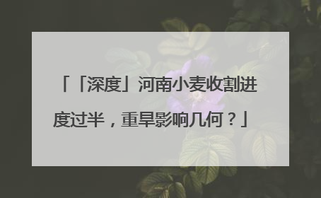 「深度」河南小麦收割进度过半，重旱影响几何？