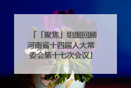 「聚焦」组图回顾河南省十四届人大常委会第十七次会议