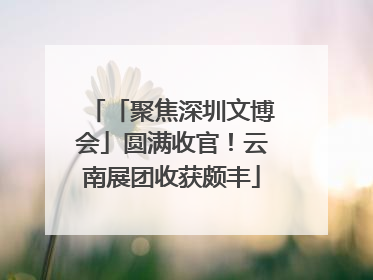 「聚焦深圳文博会」圆满收官！云南展团收获颇丰