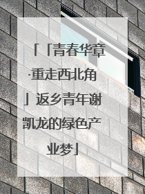 「青春华章·重走西北角」返乡青年谢凯龙的绿色产业梦