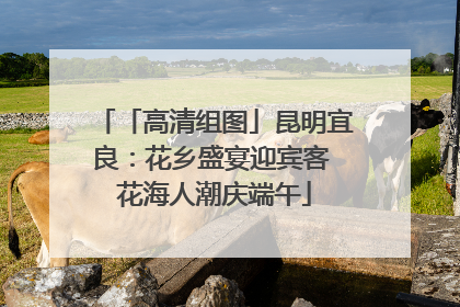 「高清组图」昆明宜良：花乡盛宴迎宾客 花海人潮庆端午