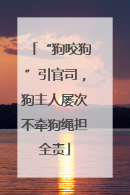 “狗咬狗”引官司，狗主人屡次不牵狗绳担全责