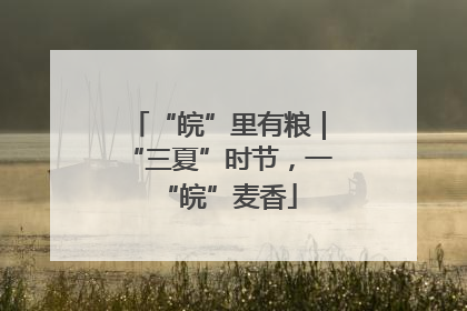 “皖”里有粮｜“三夏”时节，一“皖”麦香