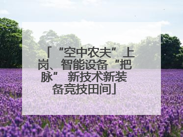 “空中农夫”上岗、智能设备“把脉” 新技术新装备竞技田间