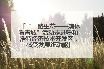 “一路生花——媒体看青城”活动走进呼和浩特经济技术开发区，感受发展新动能