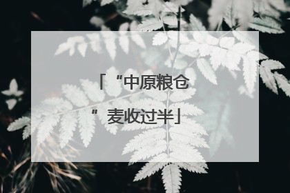 “中原粮仓”麦收过半
