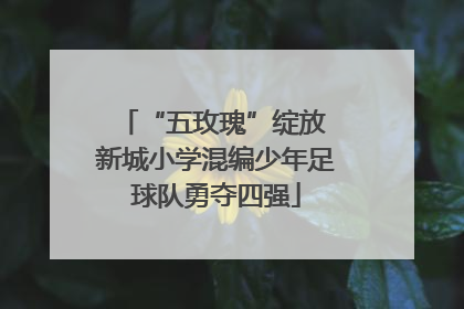 “五玫瑰”绽放 新城小学混编少年足球队勇夺四强
