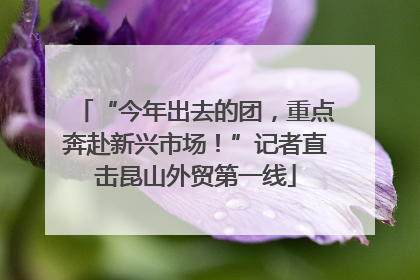 “今年出去的团，重点奔赴新兴市场！”记者直击昆山外贸第一线