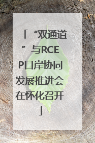 “双通道”与RCEP口岸协同发展推进会在怀化召开