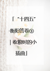 “十四五”·衡阳答卷③｜收粮时的小插曲