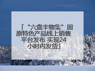 “六盘丰物集”固原特色产品线上销售平台发布 实现24小时内发货