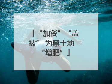 “加餐”“盖被” 为黑土地“增肥”