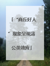 “商丘好人”现象呈现蒲公英效应