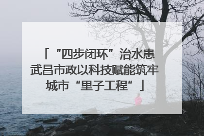 “四步闭环”治水患 武昌市政以科技赋能筑牢城市“里子工程”