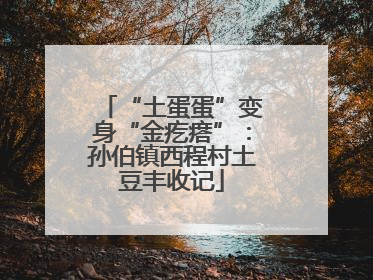 “土蛋蛋”变身“金疙瘩”：孙伯镇西程村土豆丰收记