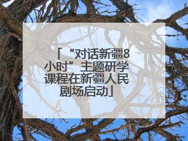 “对话新疆8小时”主题研学课程在新疆人民剧场启动