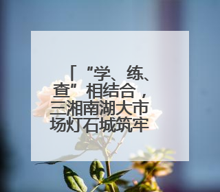 “学、练、查”相结合，三湘南湖大市场灯石城筑牢安全生产防线