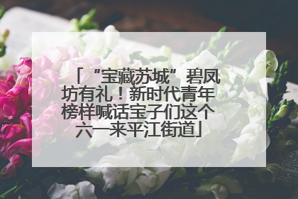 “宝藏苏城”碧凤坊有礼！新时代青年榜样喊话宝子们这个六一来平江街道
