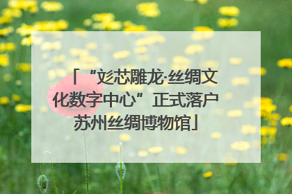 “彣芯雕龙·丝绸文化数字中心”正式落户苏州丝绸博物馆