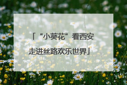 “小葵花”看西安走进丝路欢乐世界