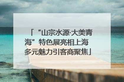“山宗水源·大美青海”特色展亮相上海 多元魅力引客商聚焦