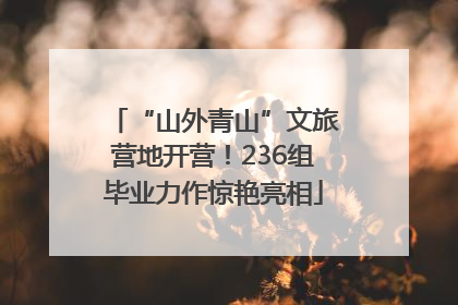 “山外青山”文旅营地开营！236组毕业力作惊艳亮相