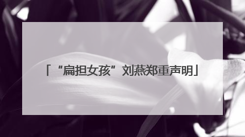 “扁担女孩”刘燕郑重声明