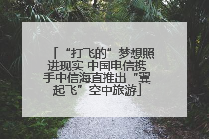“打飞的”梦想照进现实 中国电信携手中信海直推出“翼起飞”空中旅游
