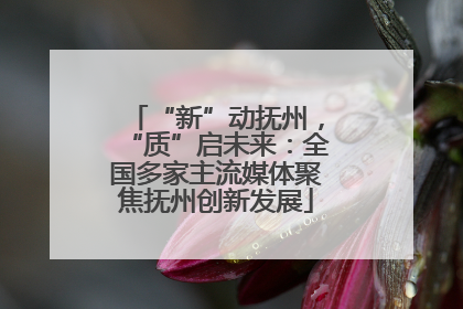 “新”动抚州，“质”启未来：全国多家主流媒体聚焦抚州创新发展
