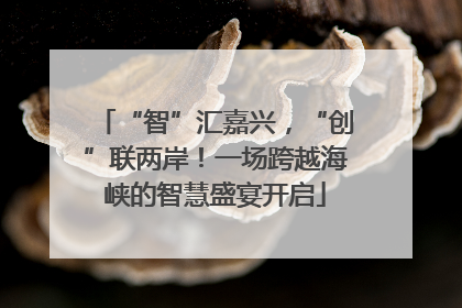 “智”汇嘉兴，“创”联两岸！一场跨越海峡的智慧盛宴开启