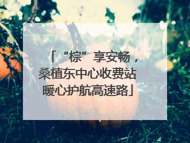 “棕”享安畅，桑植东中心收费站暖心护航高速路