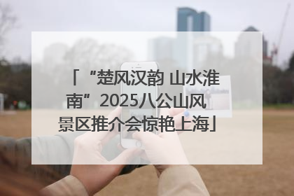 “楚风汉韵 山水淮南”2025八公山风景区推介会惊艳上海