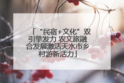 “民宿+文化”双引擎发力 农文旅融合发展激活天水市乡村游新活力