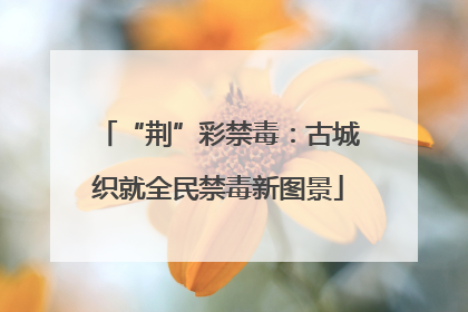 “荆”彩禁毒：古城织就全民禁毒新图景