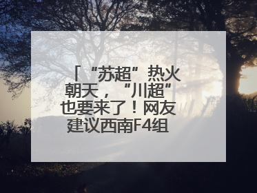 “苏超”热火朝天，“川超”也要来了！网友建议西南F4组建西甲联赛！