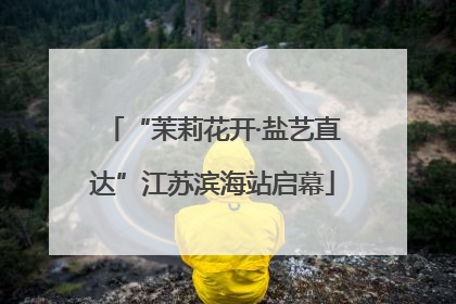“茉莉花开·盐艺直达”江苏滨海站启幕
