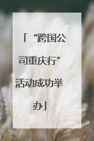 “跨国公司重庆行”活动成功举办