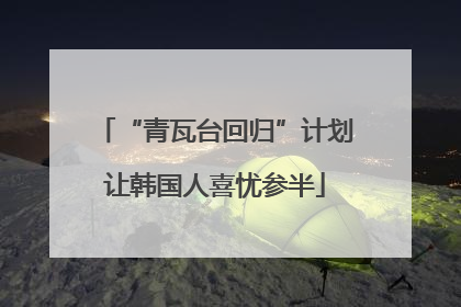 “青瓦台回归”计划让韩国人喜忧参半