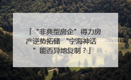 “非典型房企”得力房产逆势拓储 “宁海神话”能否异地复制？