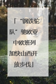 “钢铁驼队”驰欧亚 中欧班列加快山西开放步伐