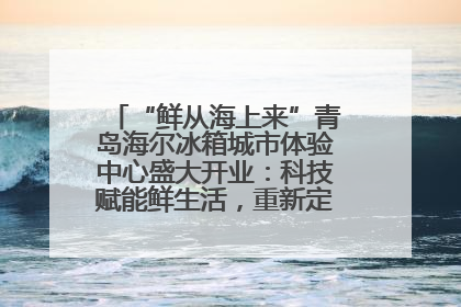 “鲜从海上来”青岛海尔冰箱城市体验中心盛大开业：科技赋能鲜生活，重新定义全球饮食未来